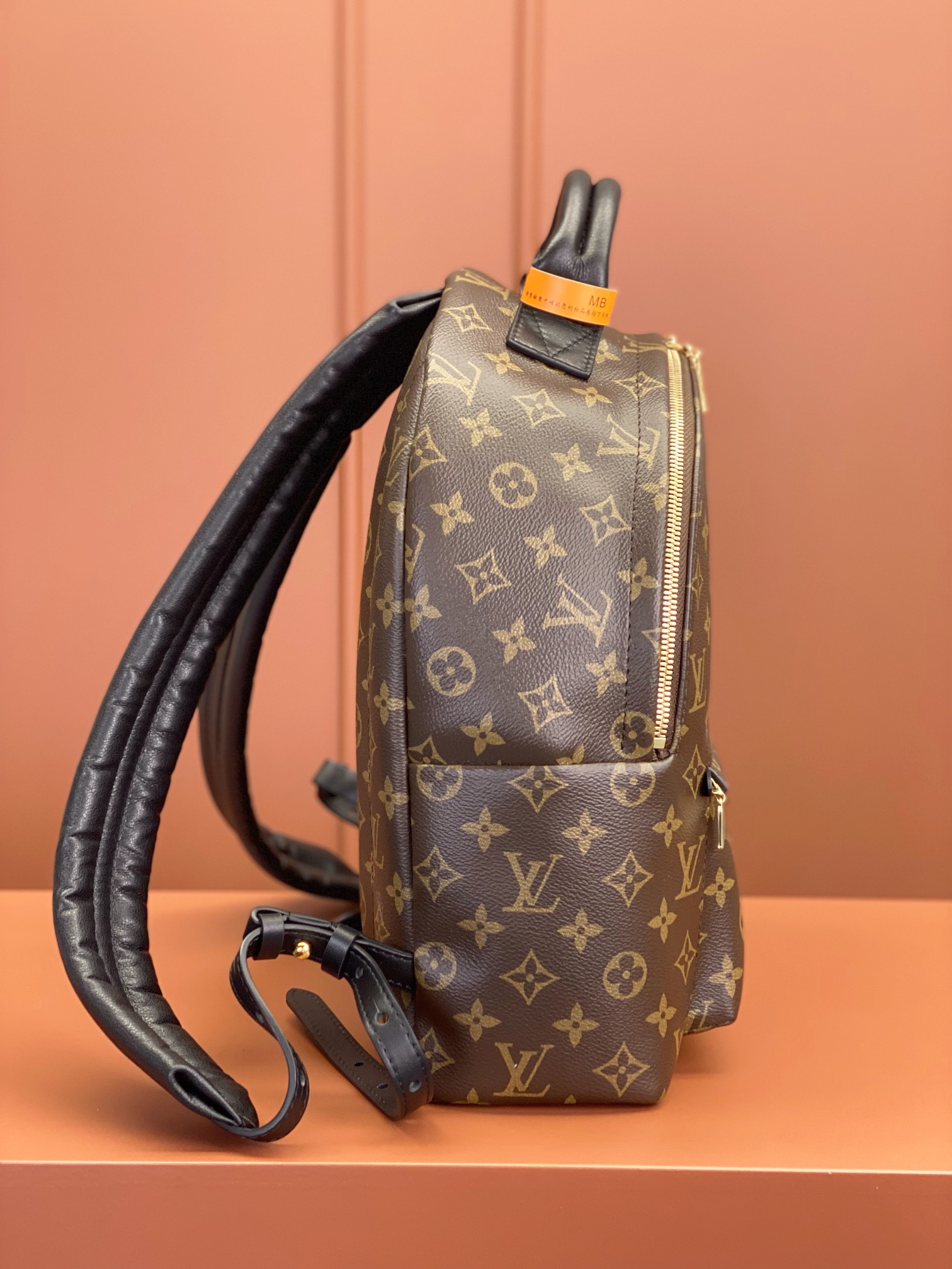 Louis Vuitton PALM SPRINGS Medium Backpack M44874