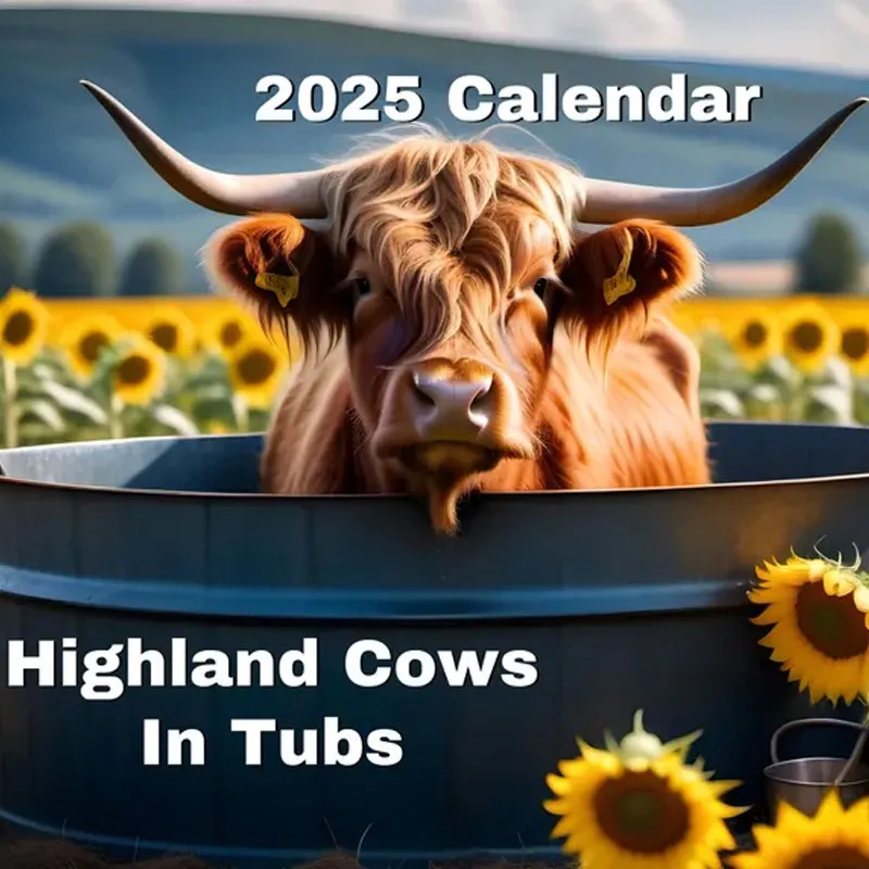 Highland Cow 2025 Wall Calendar