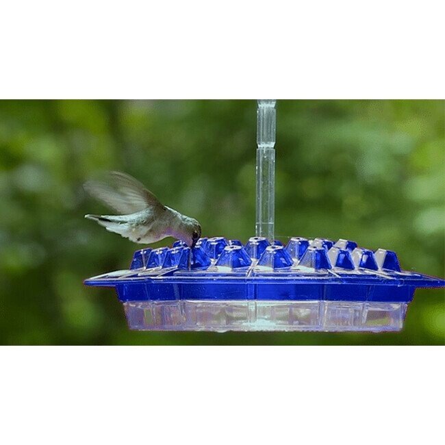 👍Last Day Promotion 50% OFF💥Mary's Hummingbird Feeder With Perch And Built-in Ant Moat-BUY 2 FREE SHIPPING