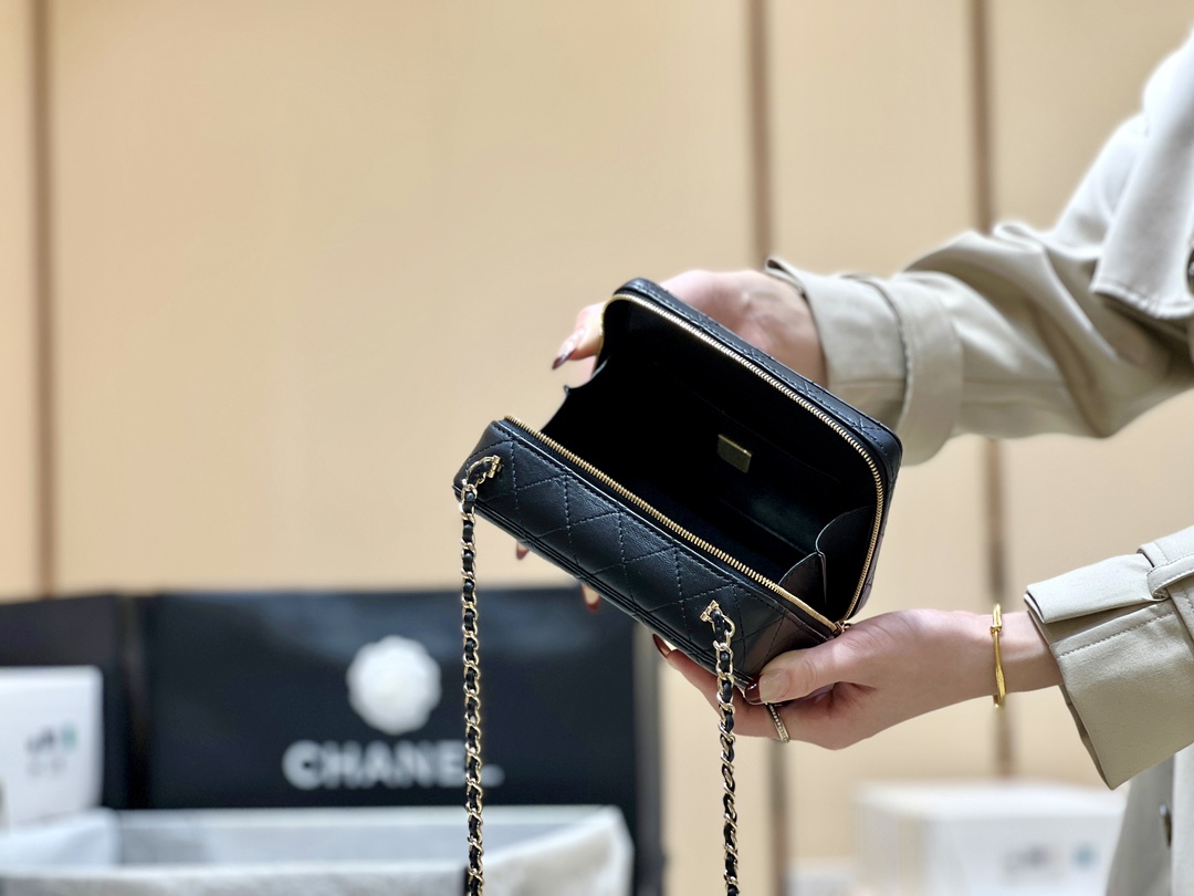 Chanel 24S Spring/Summer Series Camera bag vic limited edition AS4817 00168