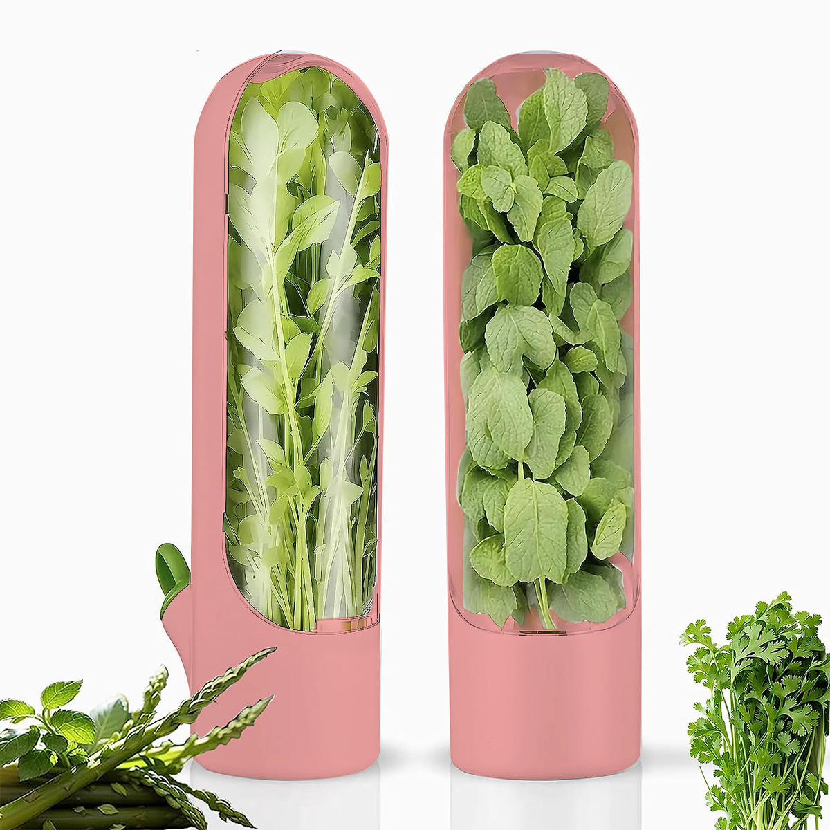 🥬🥬Fresh Vegetable Storage Box