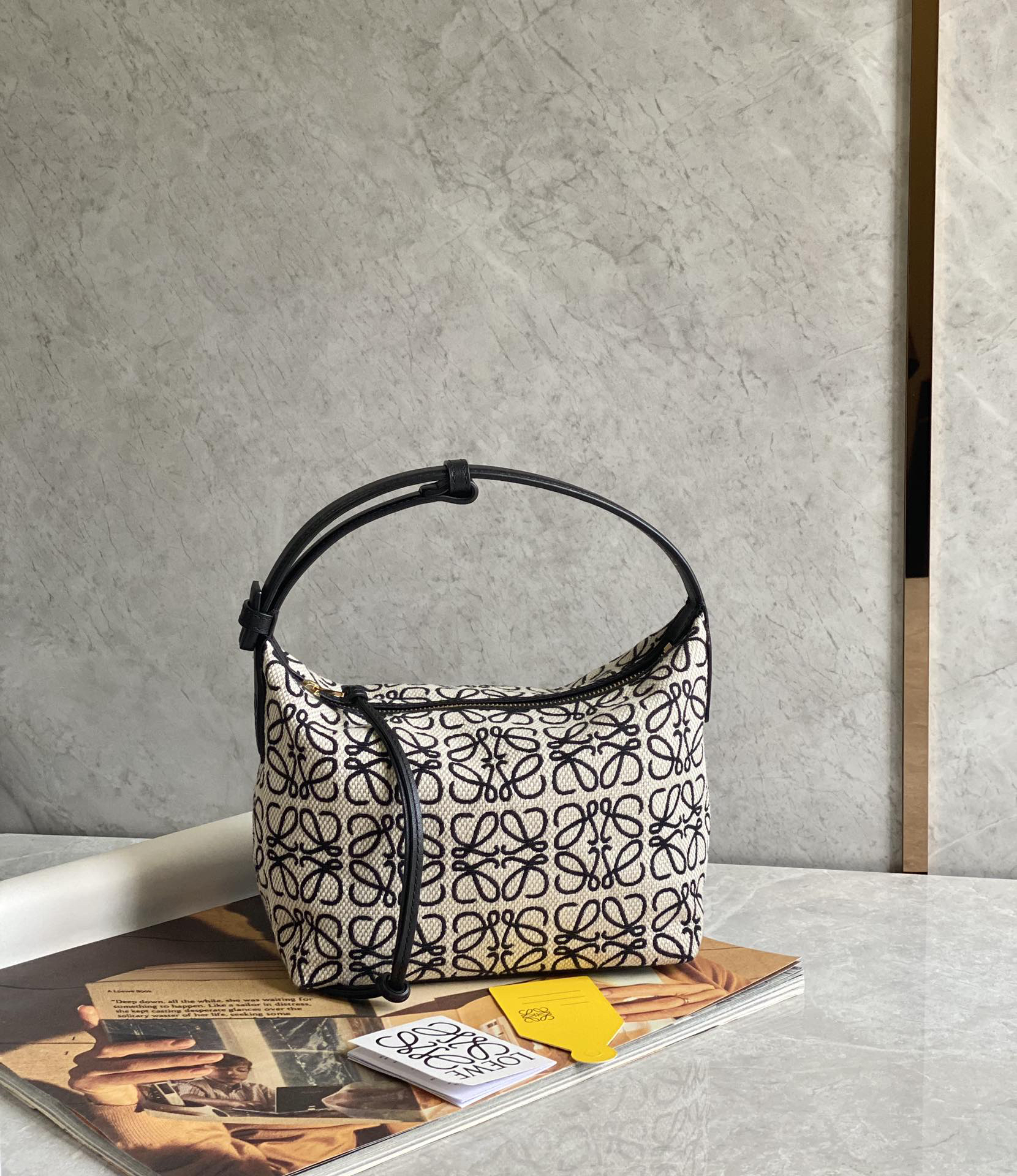 Loewe Cubi Embroidered Underarm Bag 0168