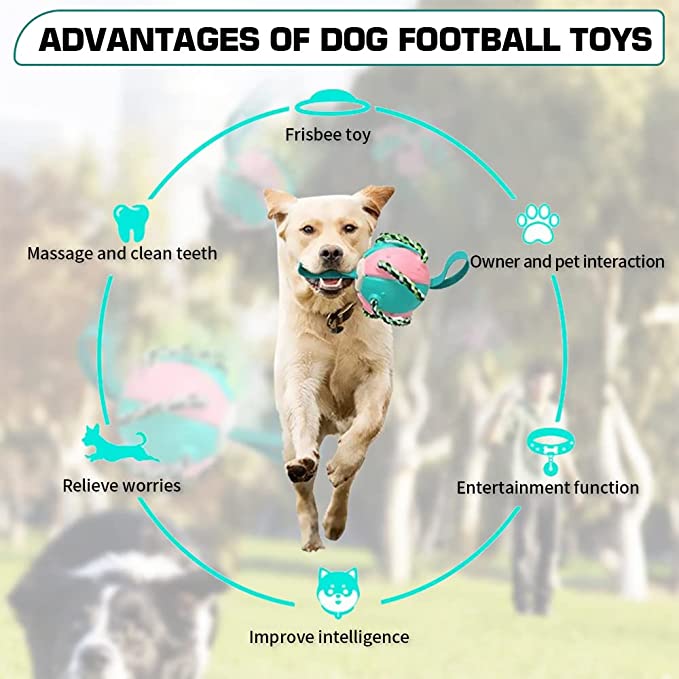 🔥Last Day Promotion-[SAVE 50% OFF]--Pet Toy Flying Saucer Chew Ball--BUY 2 GET 10% OFF & FREE SHIPPING