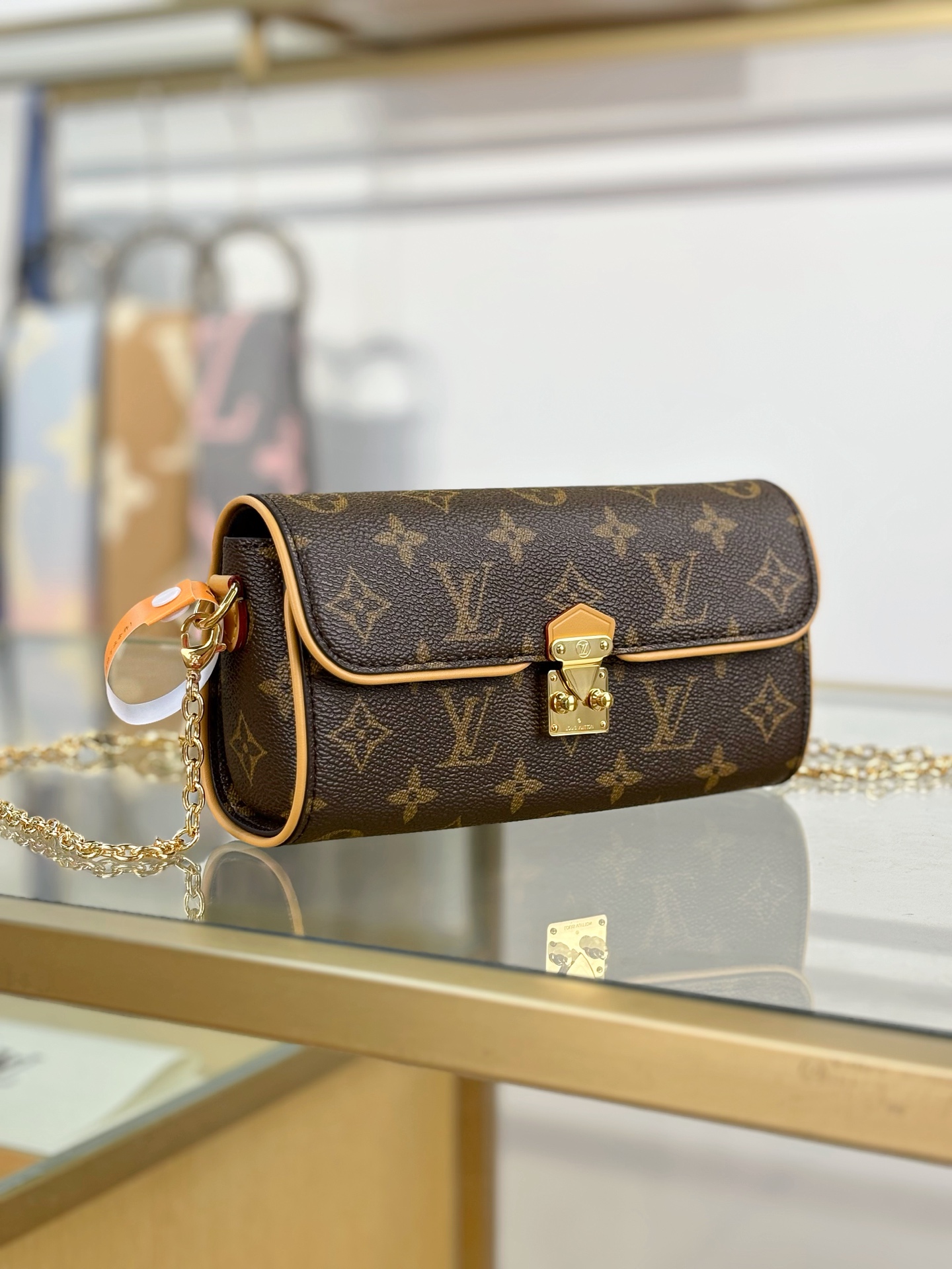 Louis Vuitton POCHETTE CAMILLE Handbag M13566