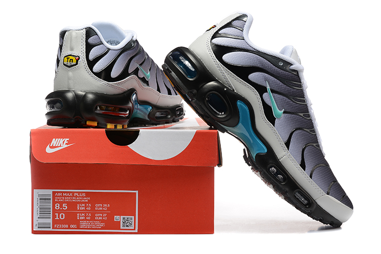 Tn Air Max Plus Shoes More Color