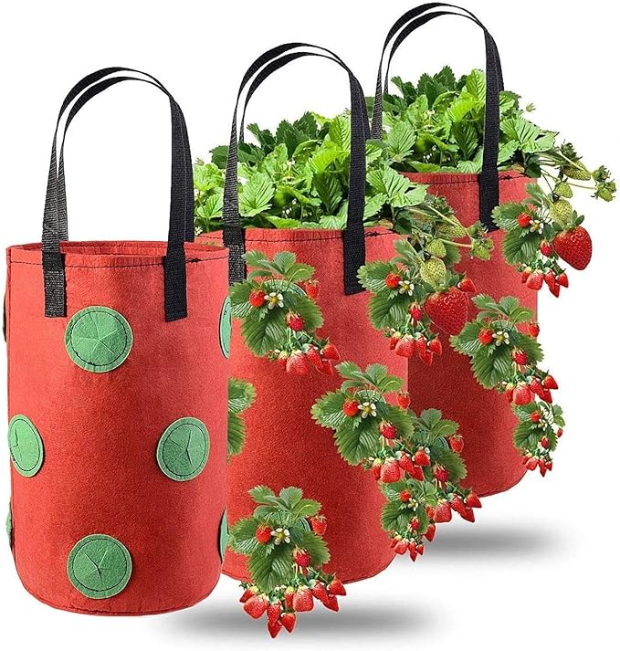 🌱🍓 12 Hole Non-Woven Hanging Grow Bag