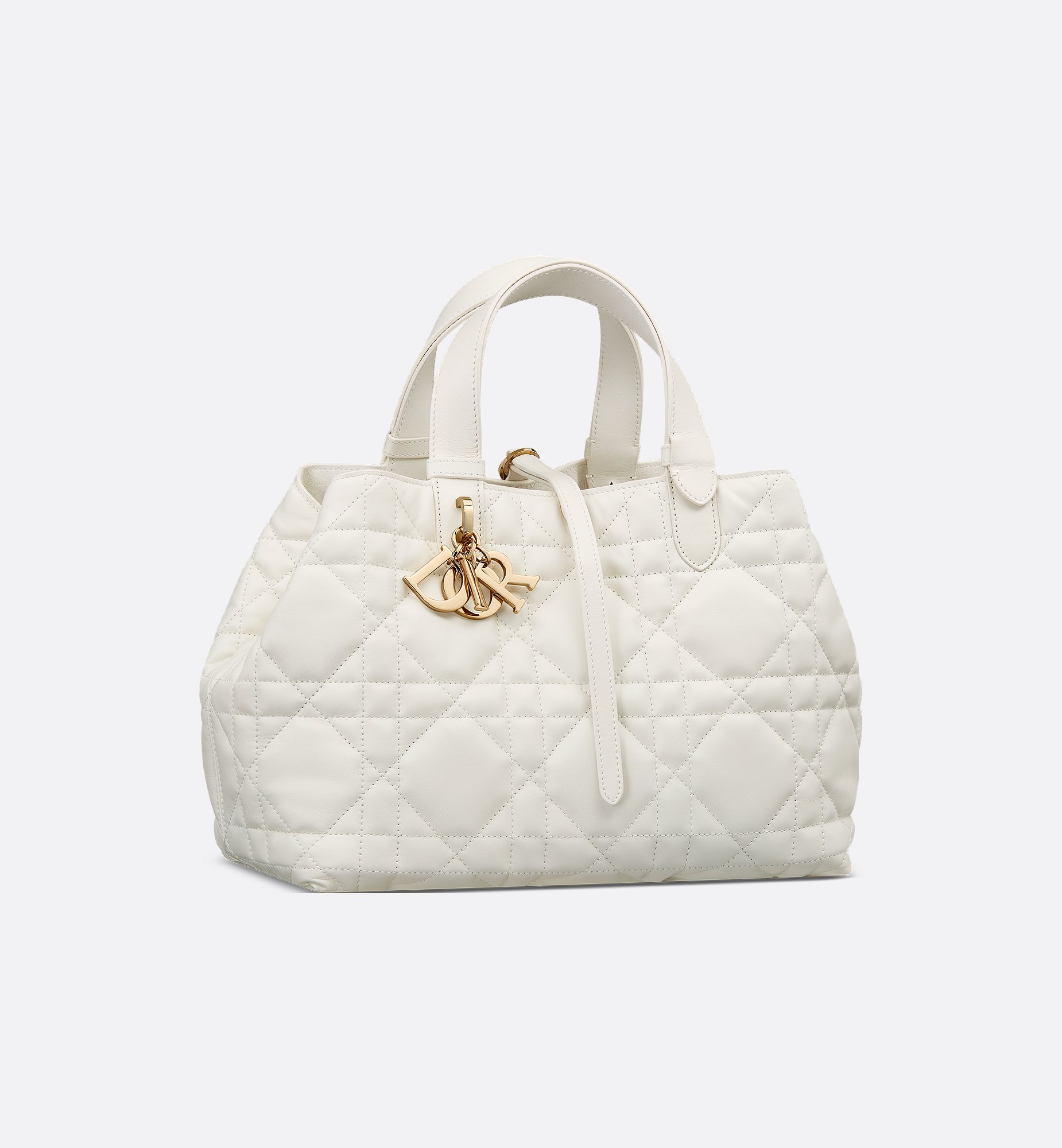 Dior Medium Dior Toujours Bag M2821OSNW_M030