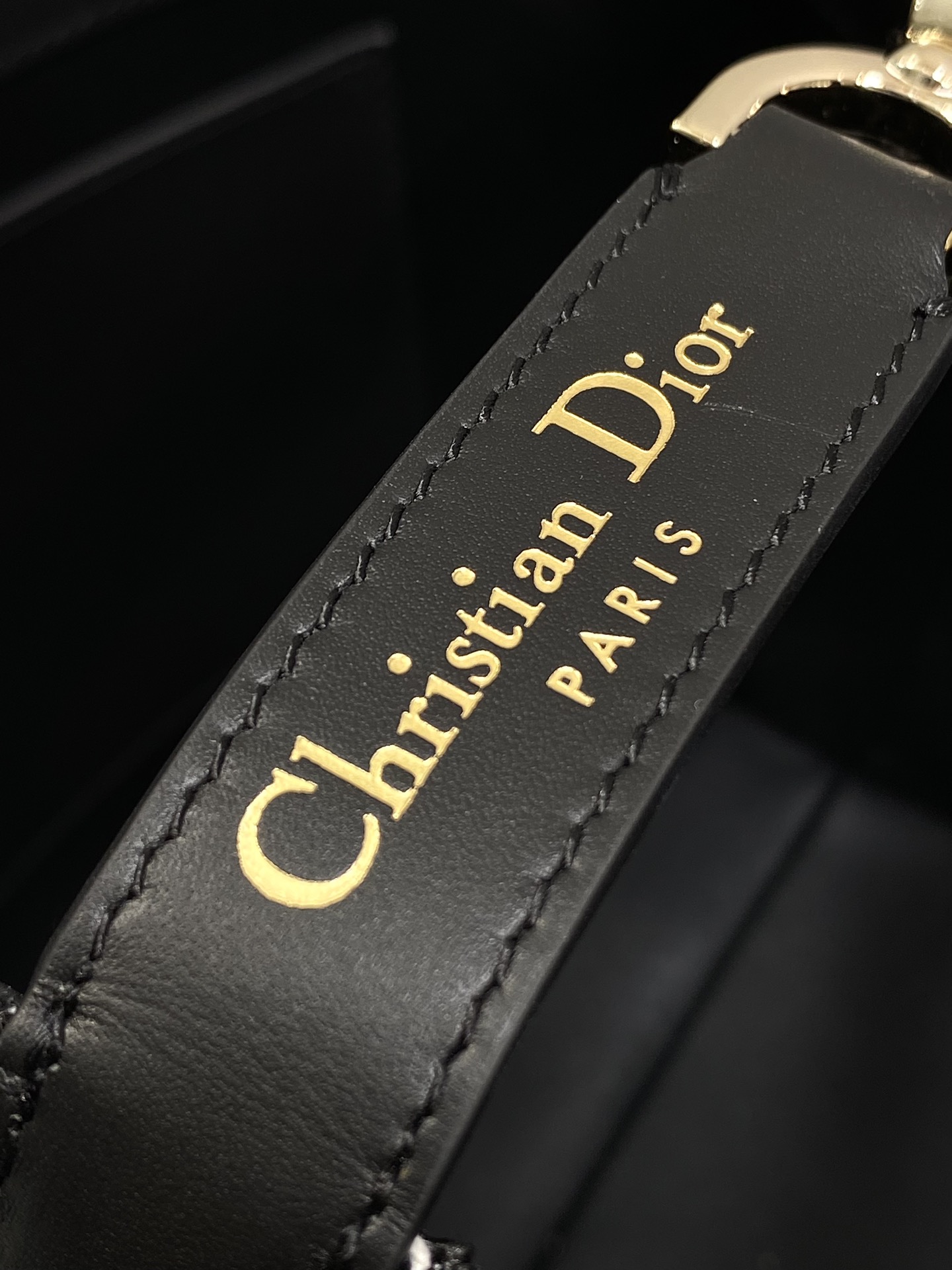 Dior Toujours Vertical Series Medium