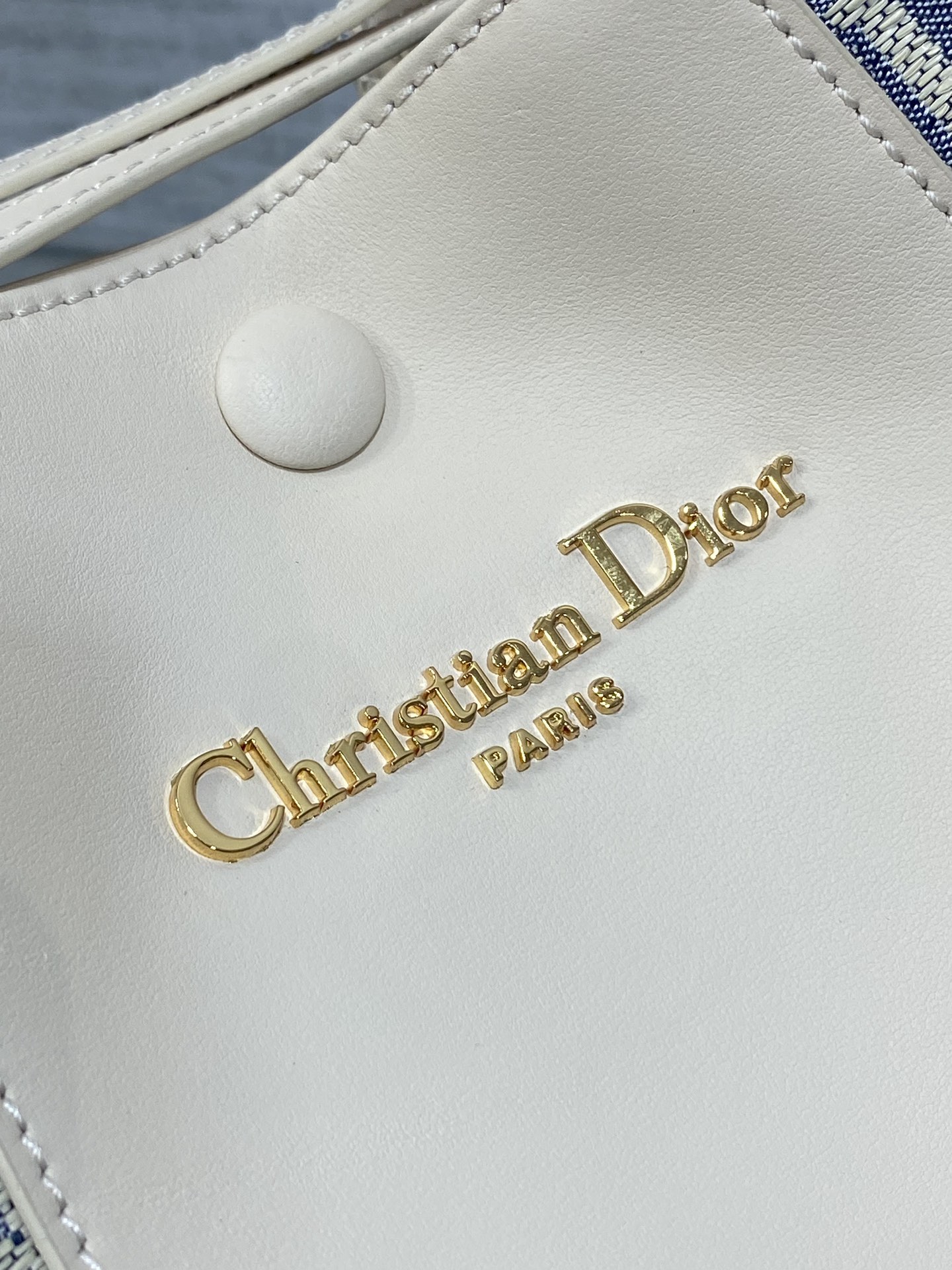 Dior Signature Bucket Bag
