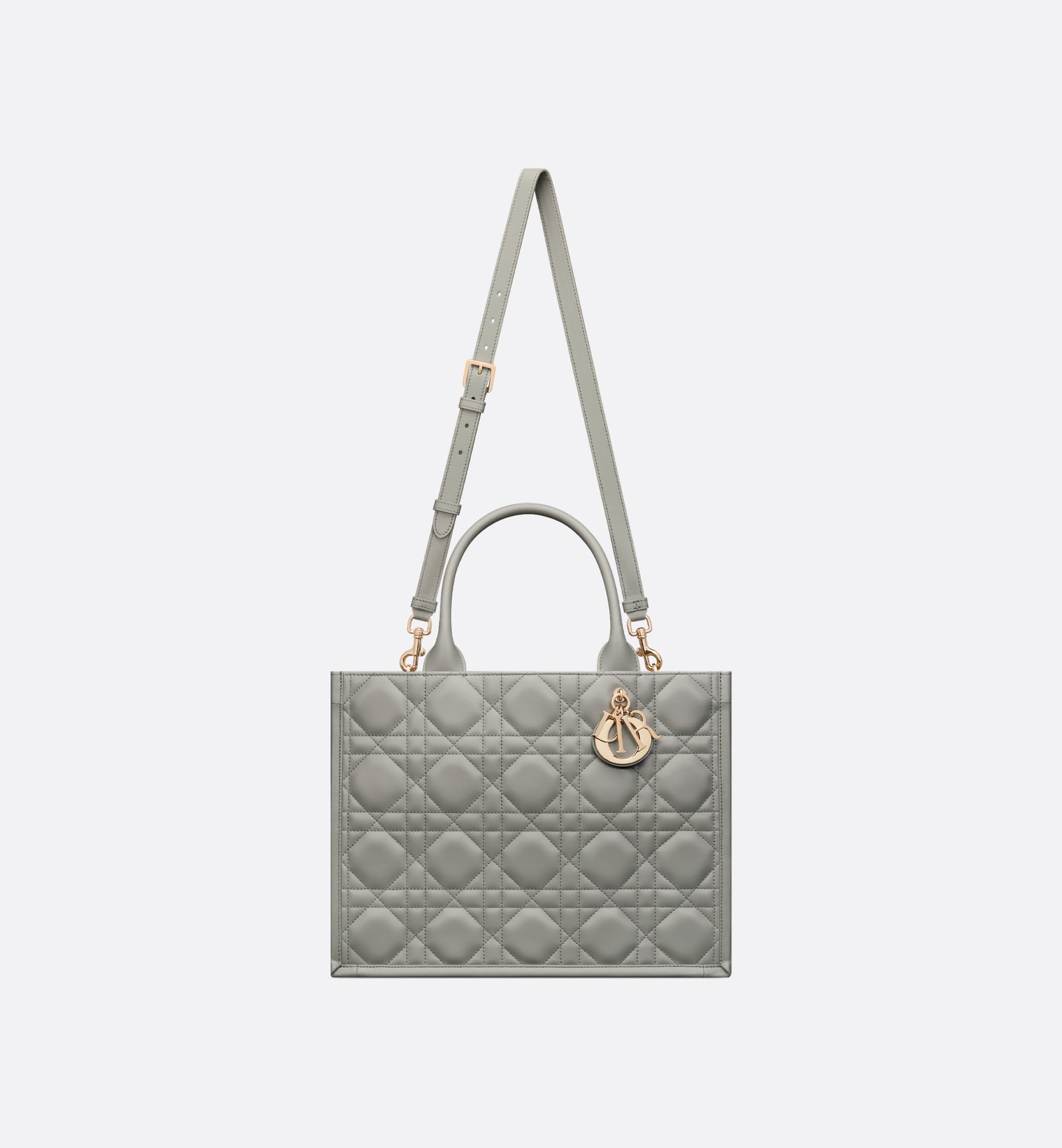 Dior Medium Book Tote Bag M1324OWHP_M41G