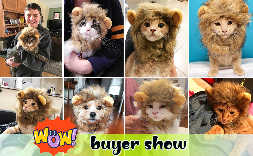2024  King Cat Costume🔥(Last Day to Sell)