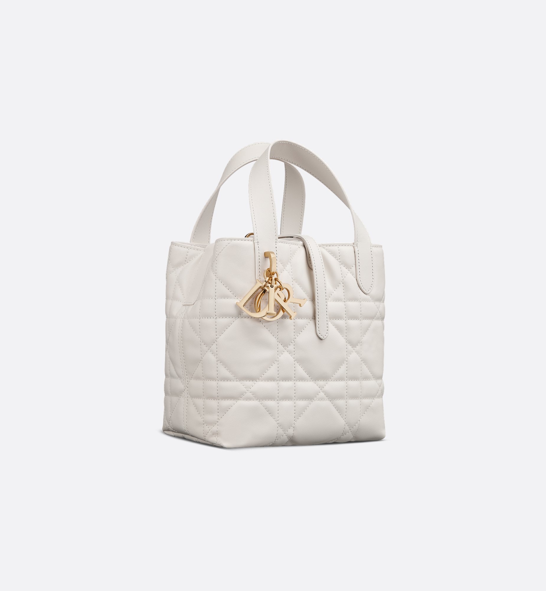 Dior Small Dior Toujours Vertical Bag M2835OSNW_M030