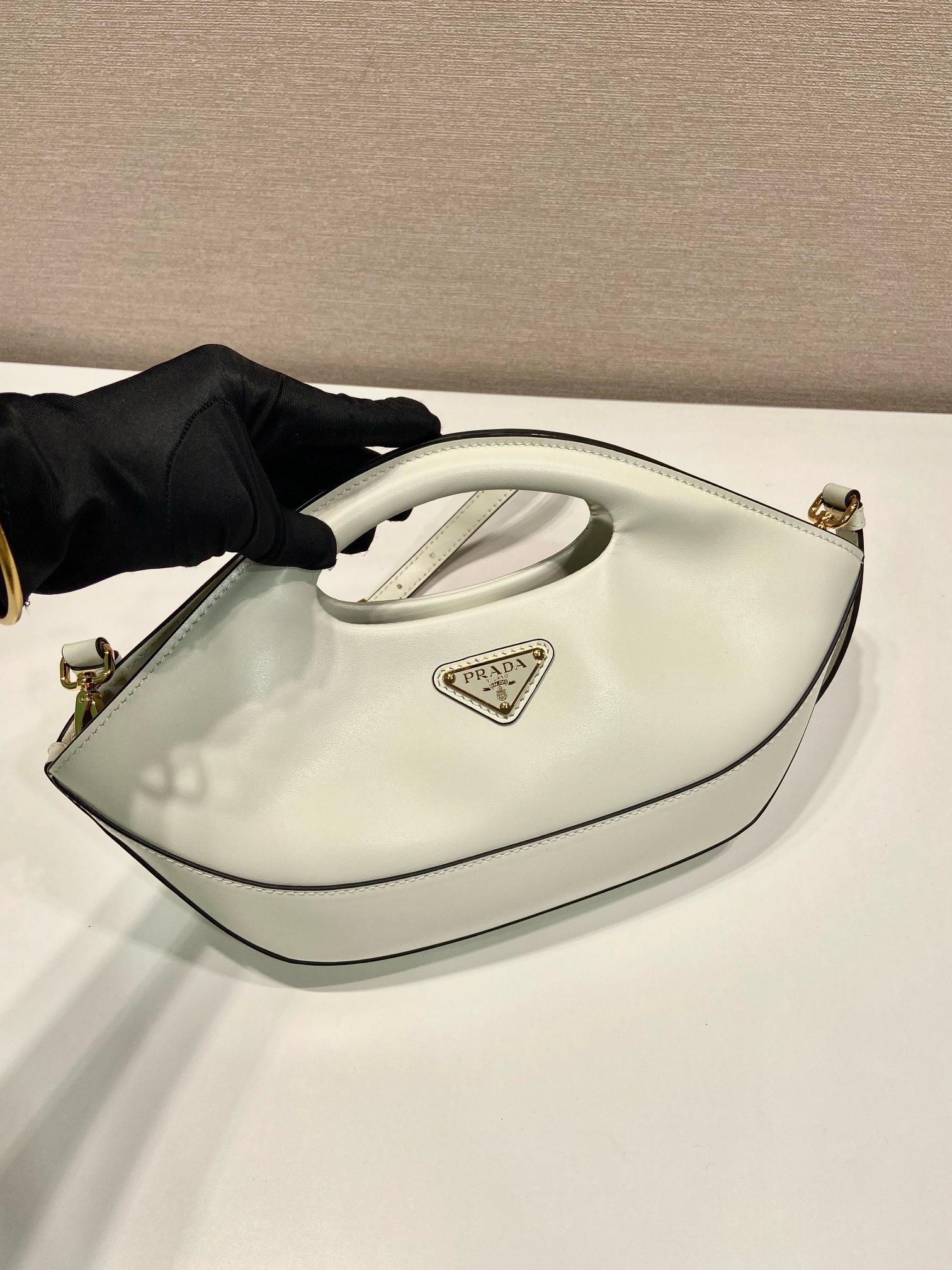 Prada Dumpling Bag 1BA421
