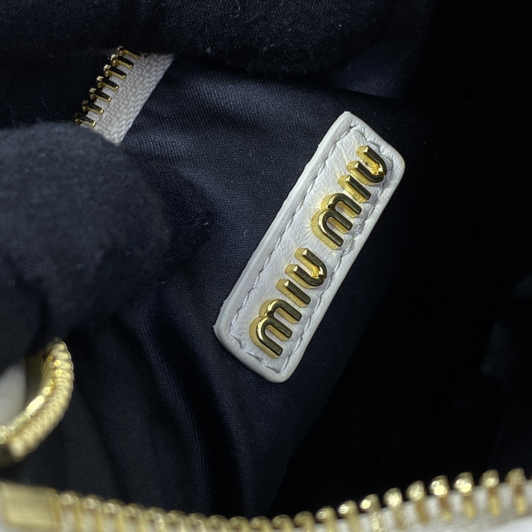 Miu Miu Wander Small Bag 5BC125