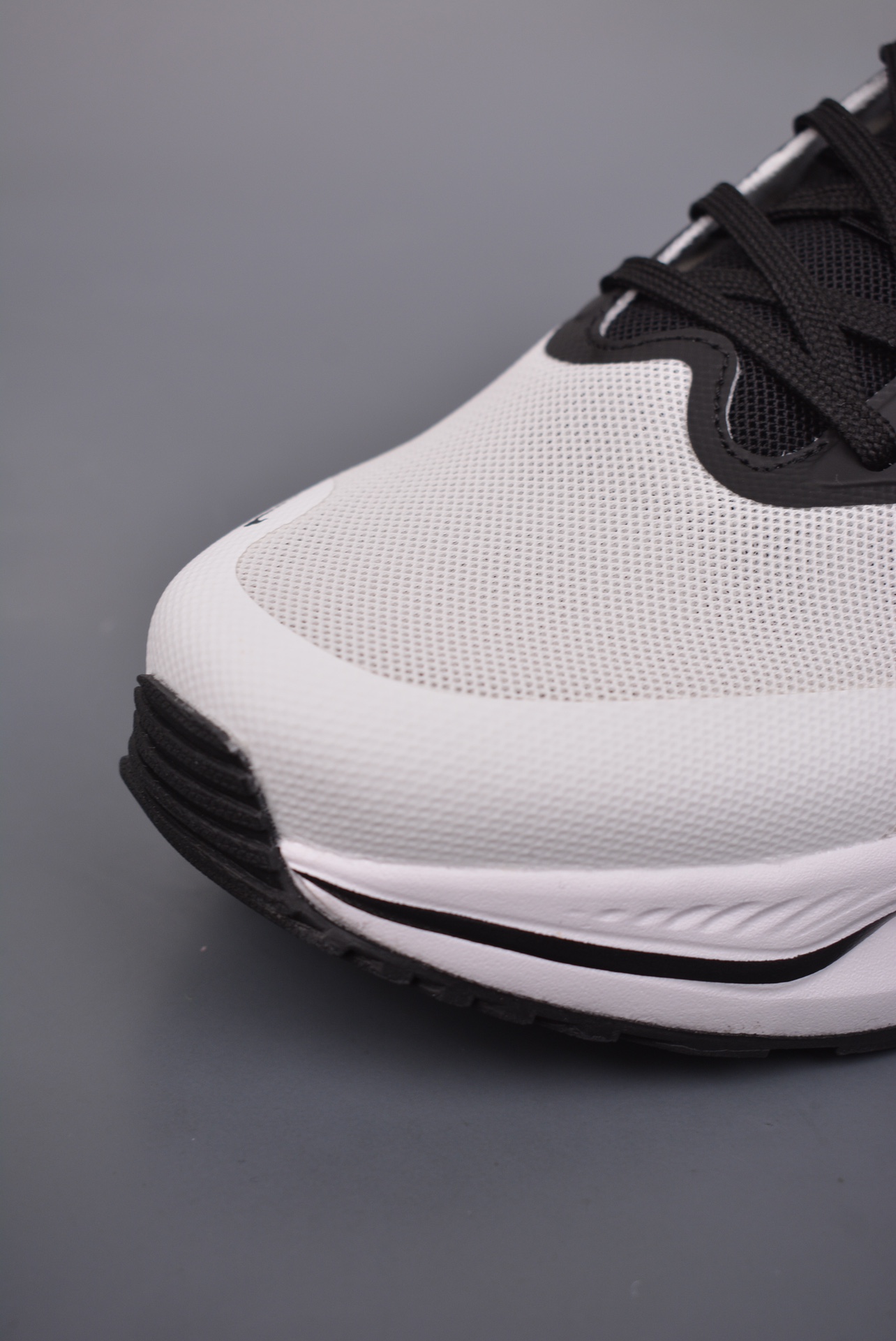 Nike SB Zoom X White and Black