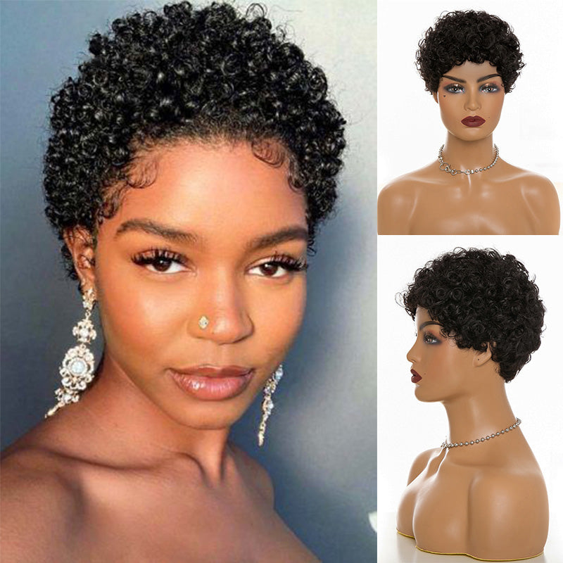 Luna Wigs Pixie Cut Wigs Kinky Short Curly Wig for Women