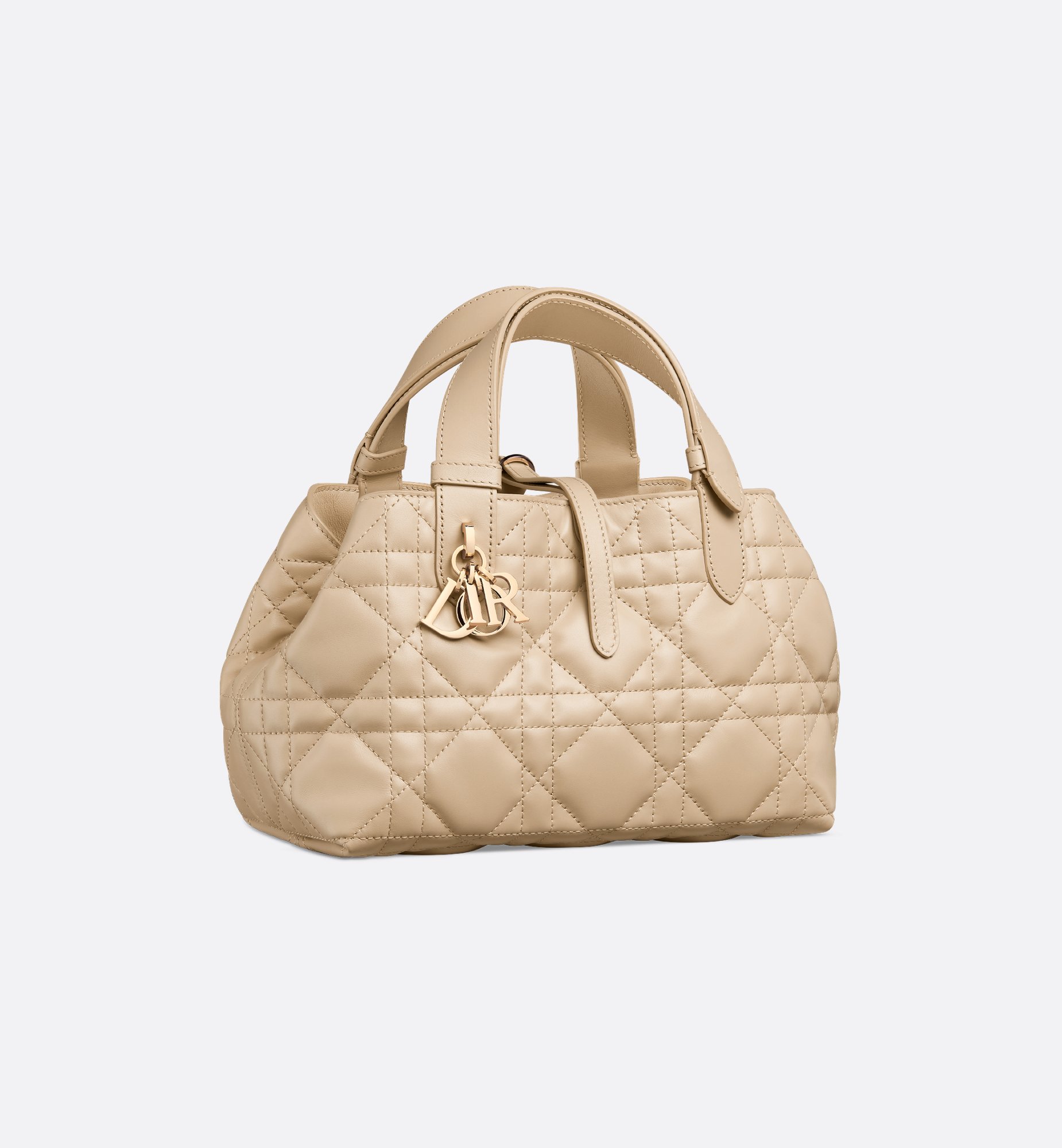 Dior Small Dior Toujours Bag M2822OSNW_M51U