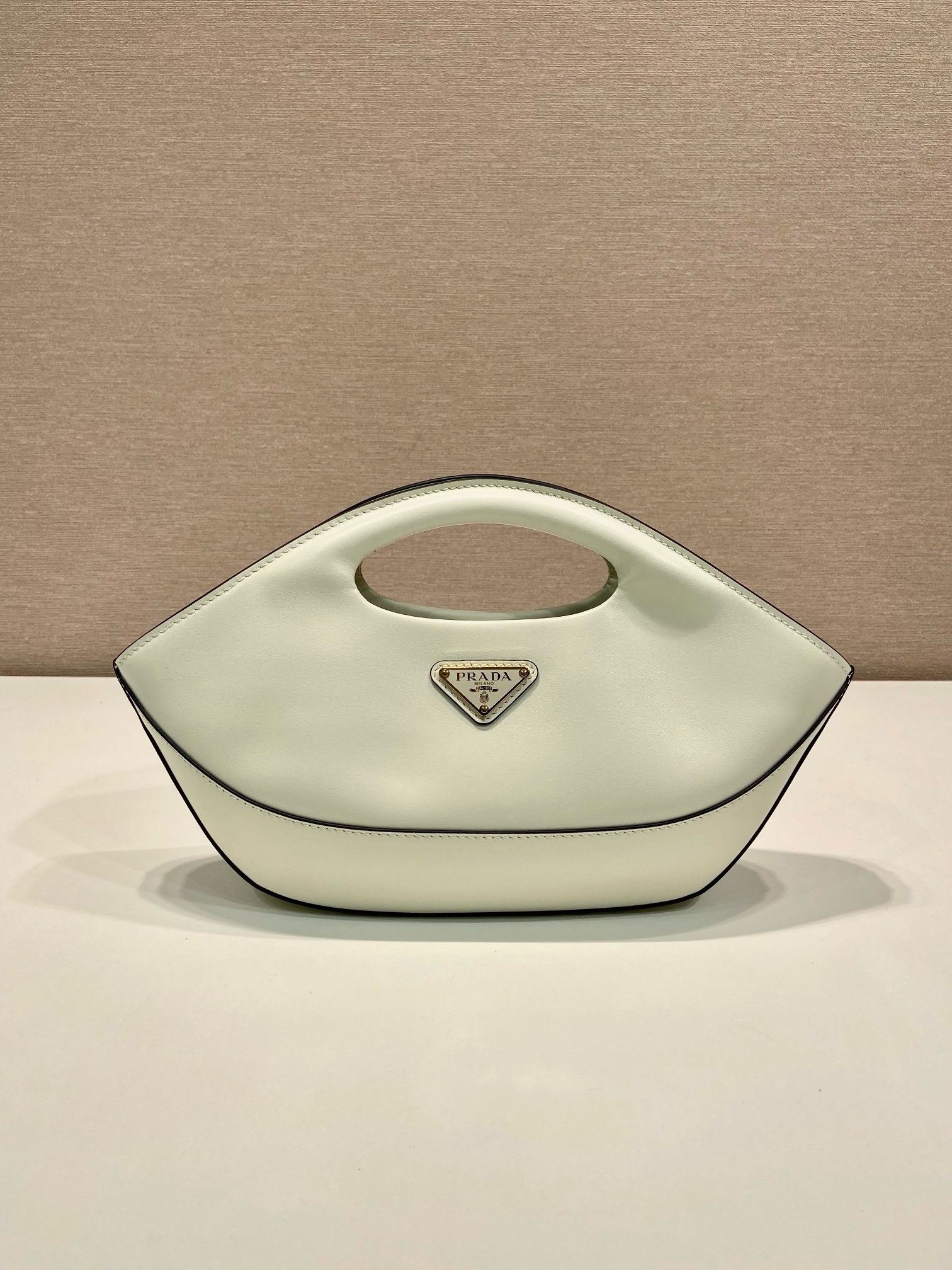 Prada Dumpling Bag 1BA421