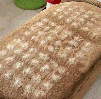 The Magic Brush - Buy 1 Get 1 Free