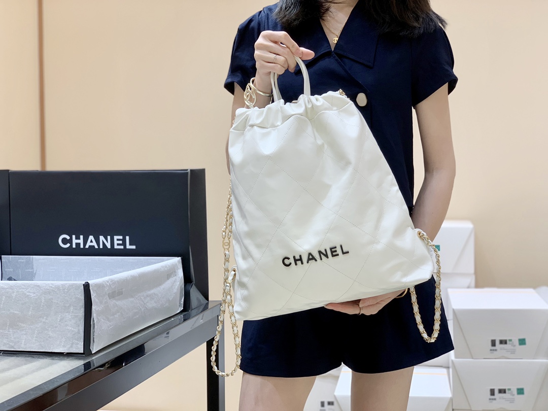 Chanel 2022cc Spring/Summer Collection Handbag AS3313