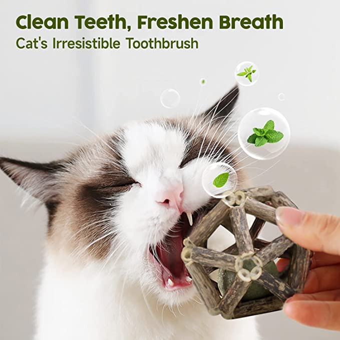 🔥Last Day Promotion-[SAVE 50% OFF]--Natural Silvervine Catnip Chew Toys--BUY 5 GET 5 FREE & FREE SHIPPING