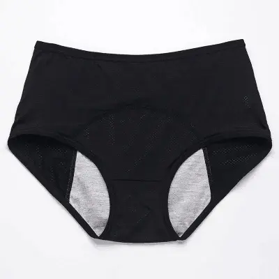 ON SALE🔥High Waist Leak Proof Panties 70% OFF Flash Sale