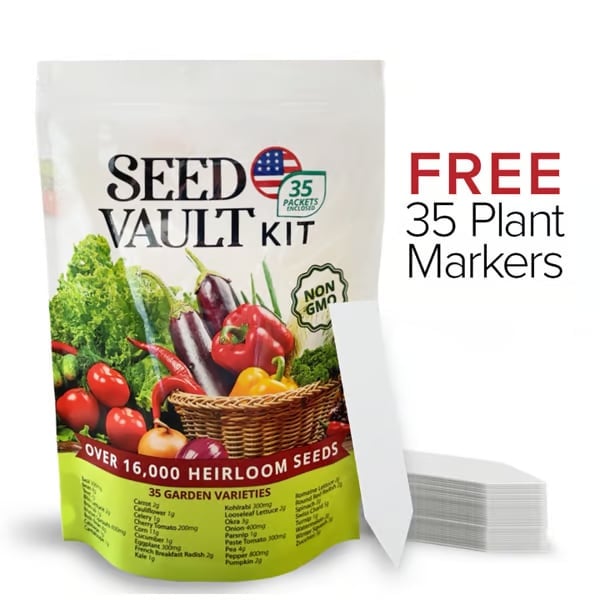 Easter Special🪴-Vegetable Seed Vault Kit | 35 Variety Pack