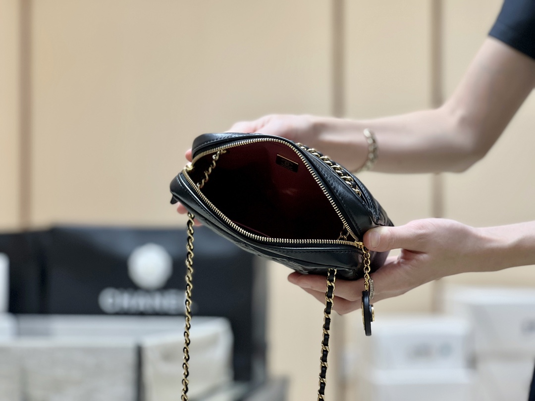 Chanel 24K Autumn and Winter Limited Edition Gold Coin Camera Bag AS5190