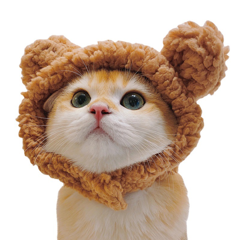2024  King Cat Costume🔥(Last Day to Sell)