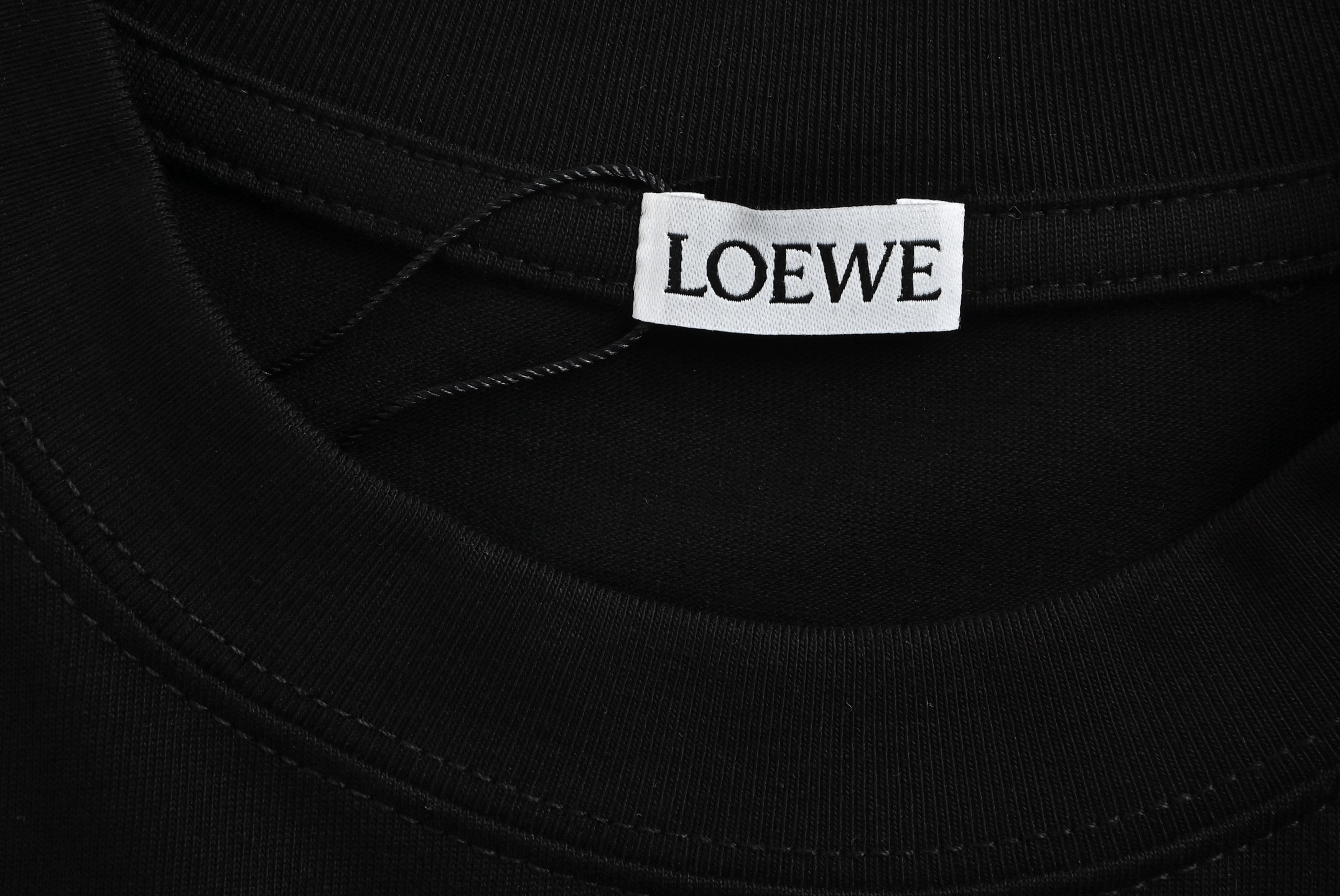 Loewe 23ss Guinea fowl embroidered short sleeve