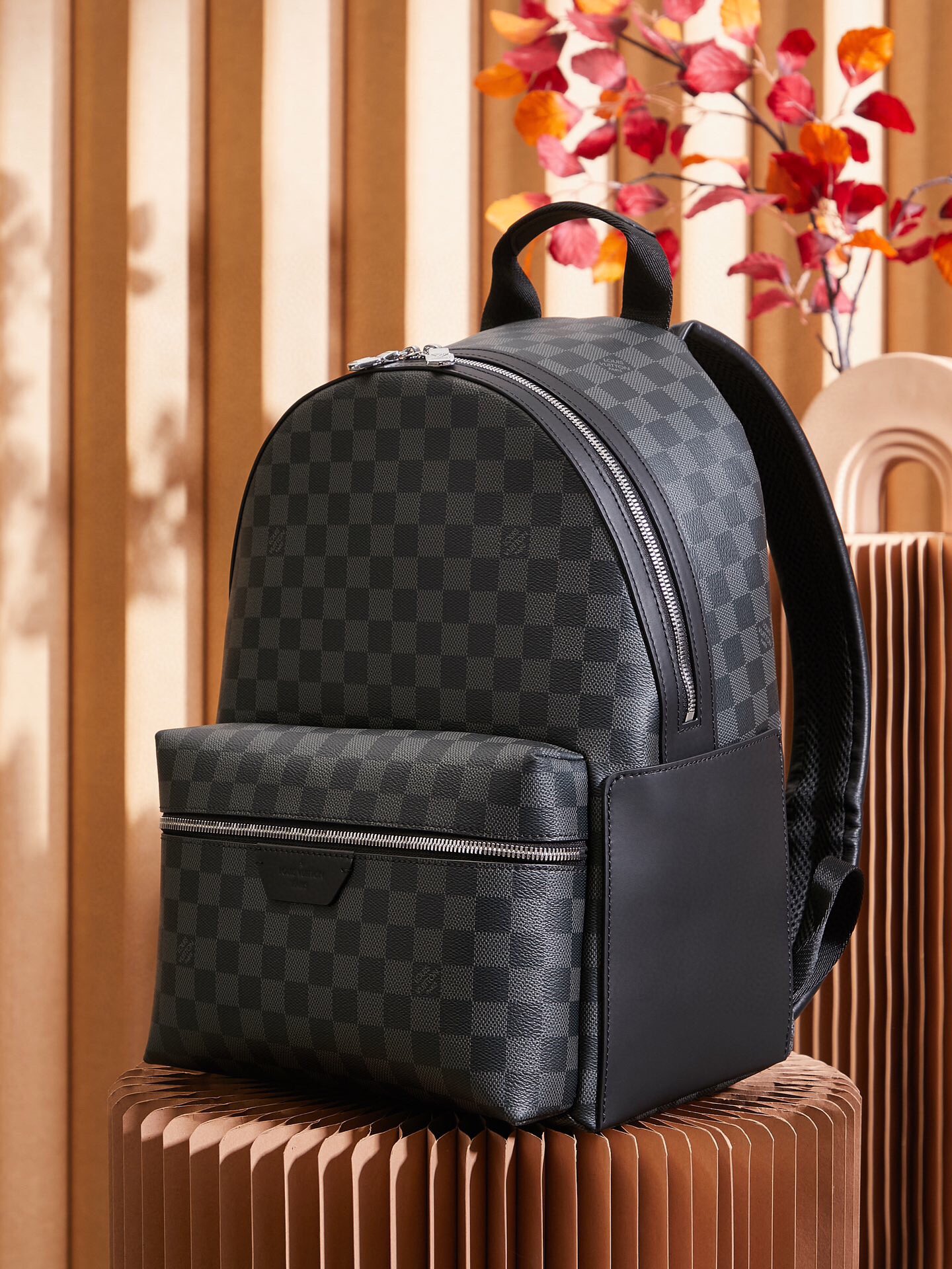 Louis Vuitton Discovery Backpack N40514