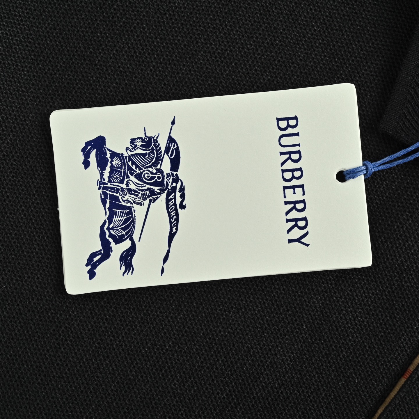 Burberry 25ss Warhorse Logo Embroidered Polo Short Sleeve