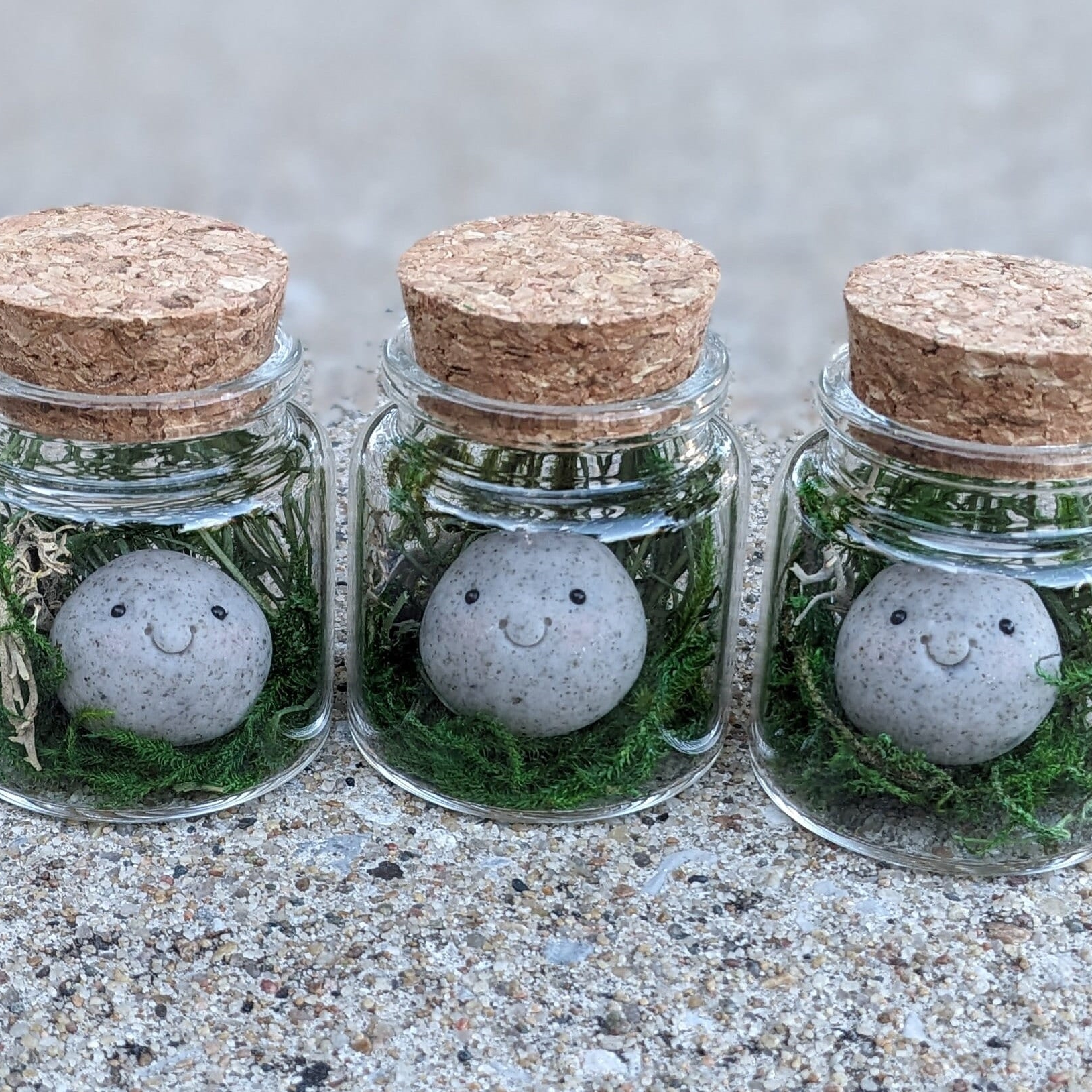On Sale🔥Adopt A Rock Pet