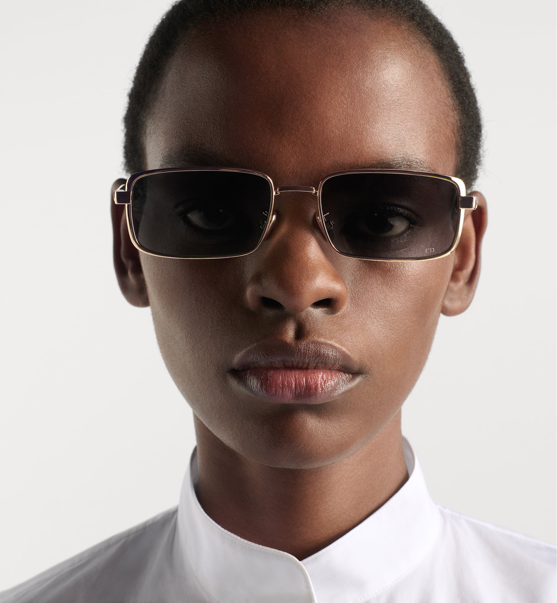 Dior DiorCannage S2U Sunglasses DCANS2UXR_B0A1
