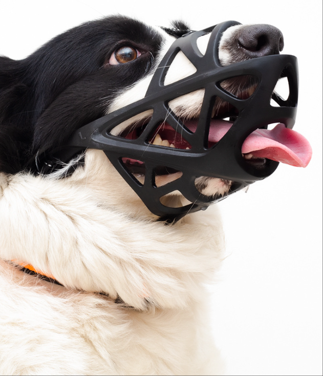 dog safety muzzle