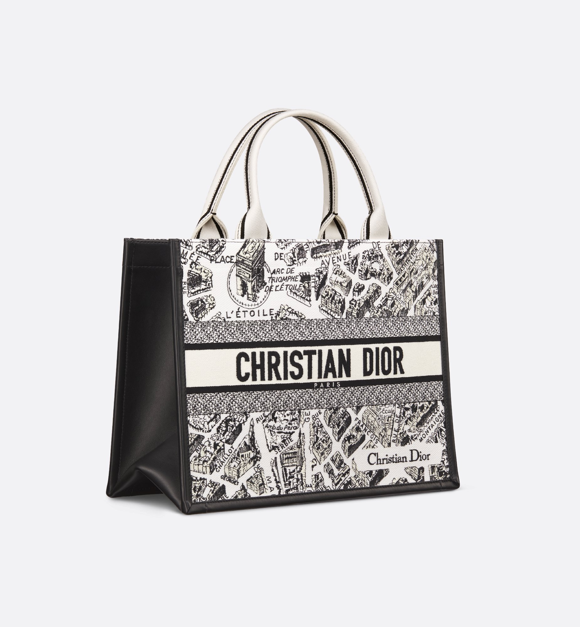 Dior Medium Book Tote Bag M1324CETJ_M081