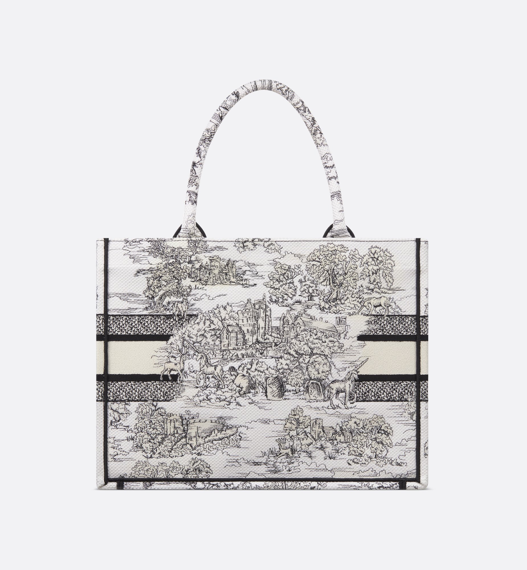 Dior Medium Book Tote Bag M1296ZEDR_M041