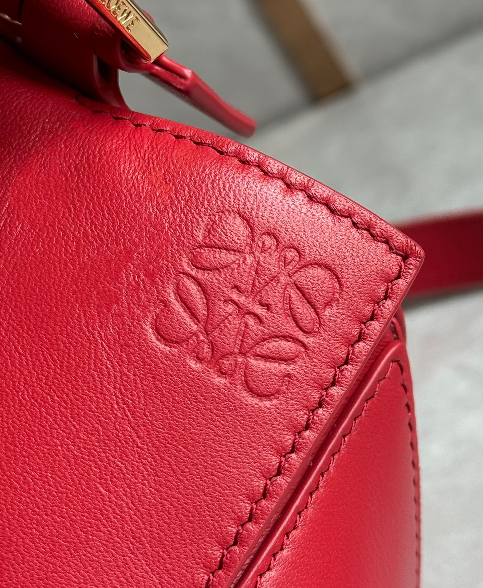 Loewe 10th Anniversary Bag 0189