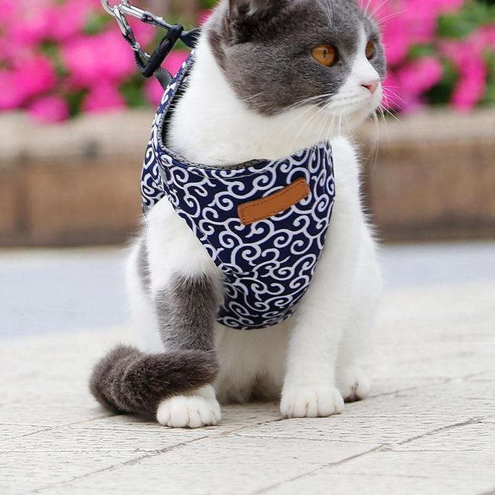 (🎁CHRISTMAS PRE SALE - 48% OFF)CAT VEST HARNESS AND LEASH SET TO OUTDOOR WALKING