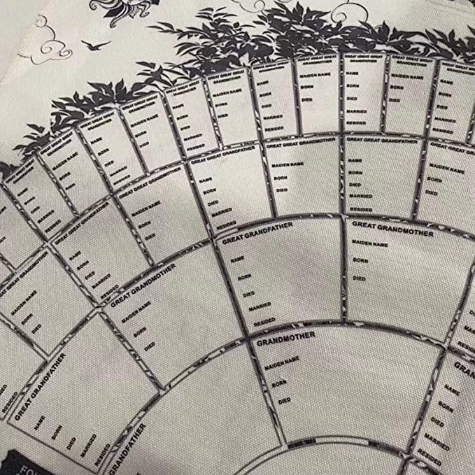 🔥Last Day 49% Off - 👩‍👩‍👧‍👧Family Tree Chart Diy Gift