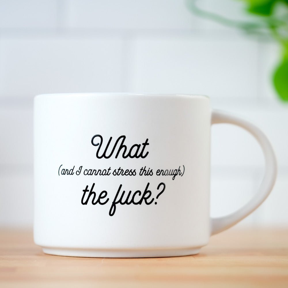 I CANNOT STRESS THIS ENOUGH (WTF) ...COFFEE MUG
