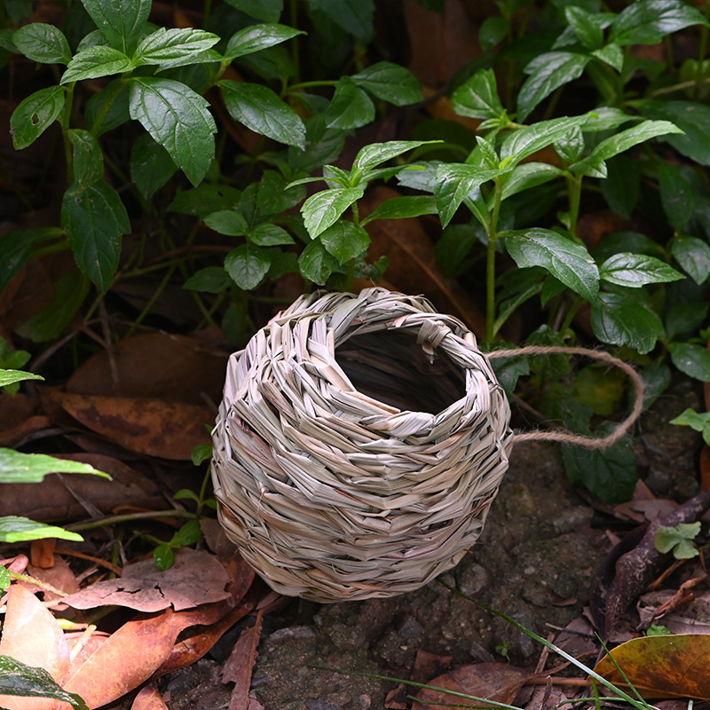 (🔥Last Day Promotion-SAVE 50% OFF)Hummingbird Nest House-BUY 3 GET 3 FREE$FREE SHIPPING