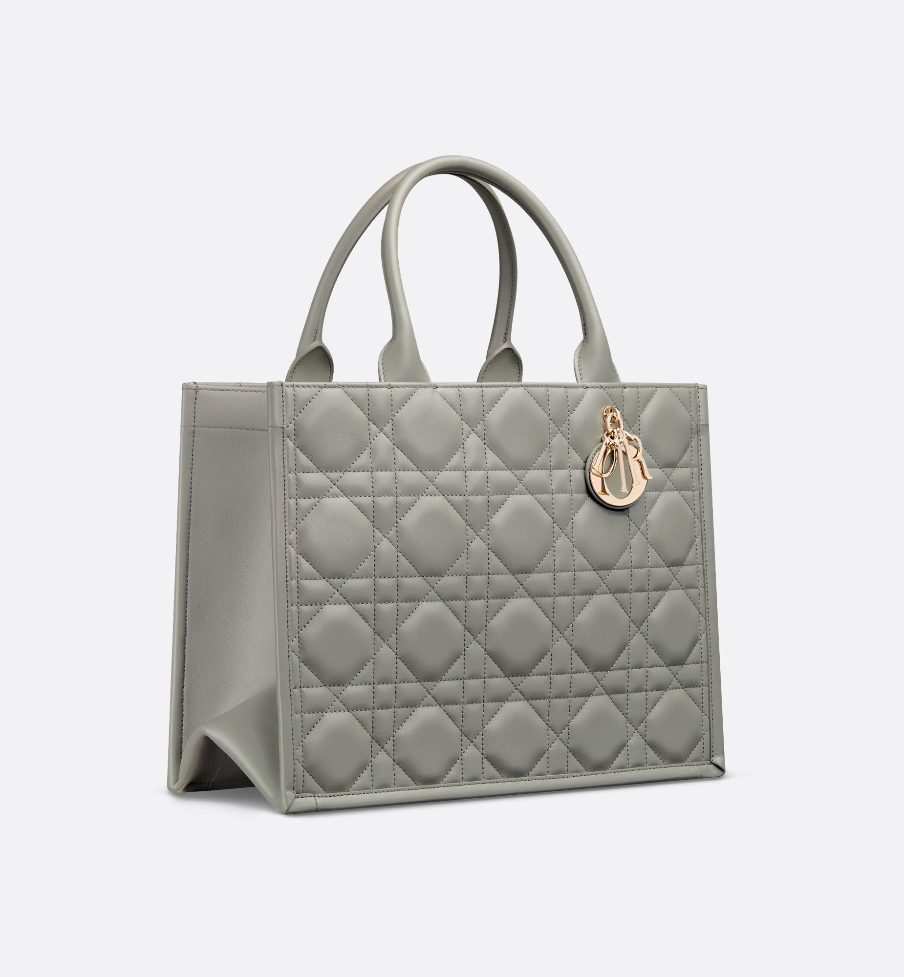 Dior Medium Book Tote Bag M1324OWHP_M41G