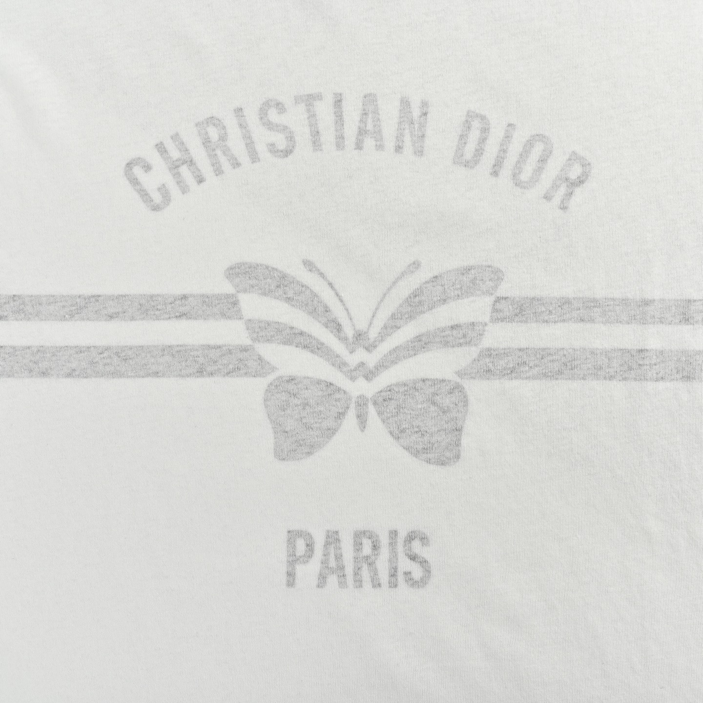 Dior 25ss butterfly print reverse short sleeve