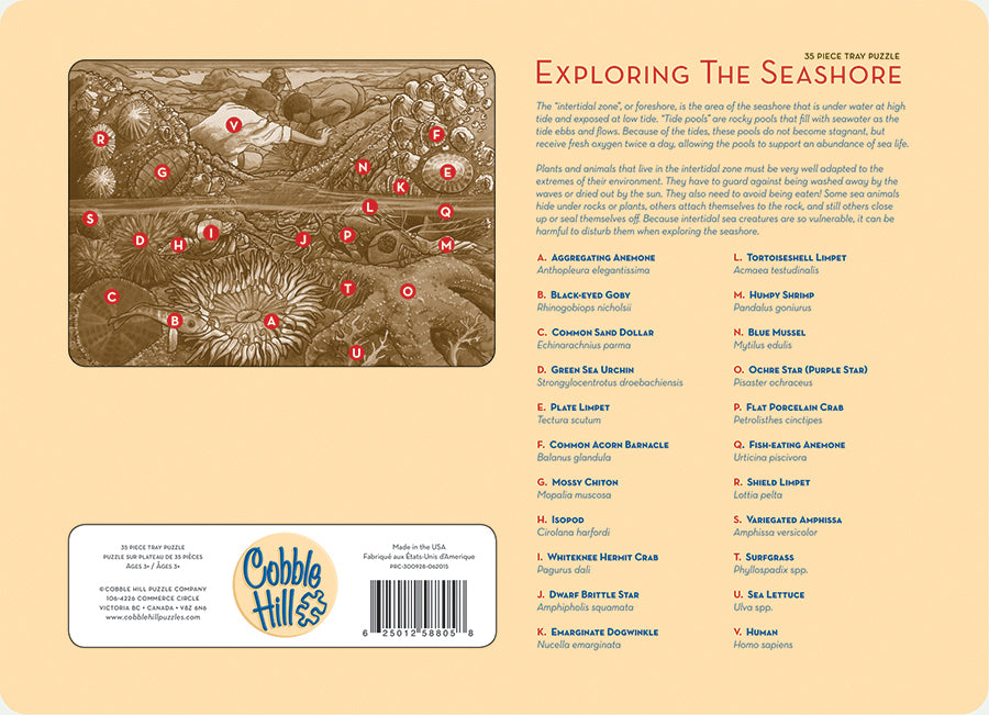 Exploring the Seashore (tray) | 35 Piece Tray