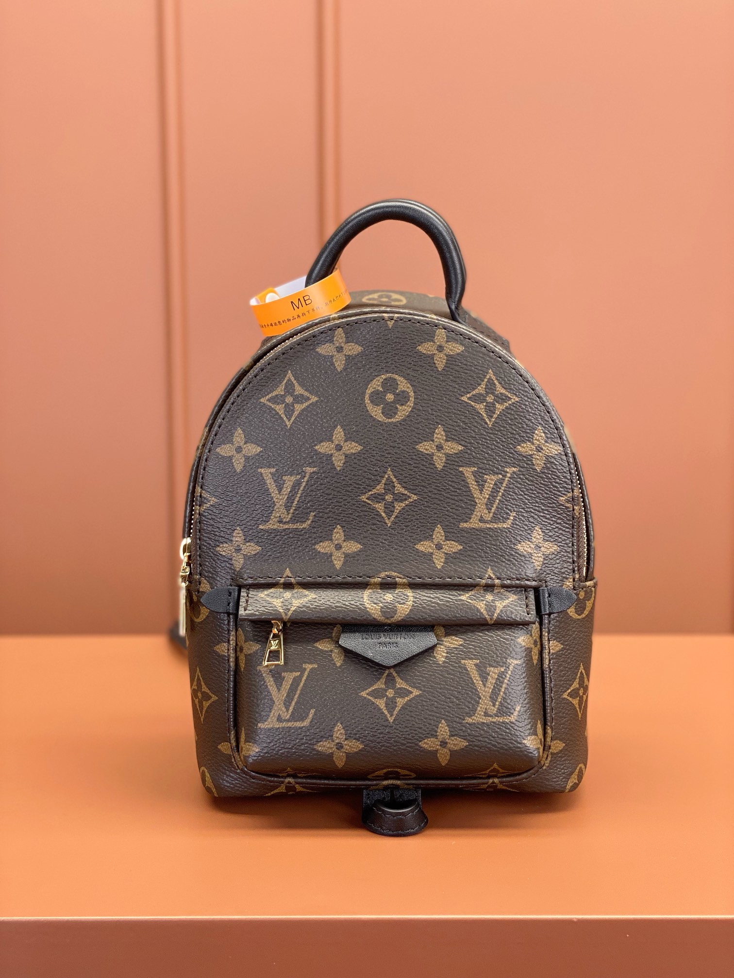 Louis Vuitton PALM SPRINGS Mini Backpack M44873