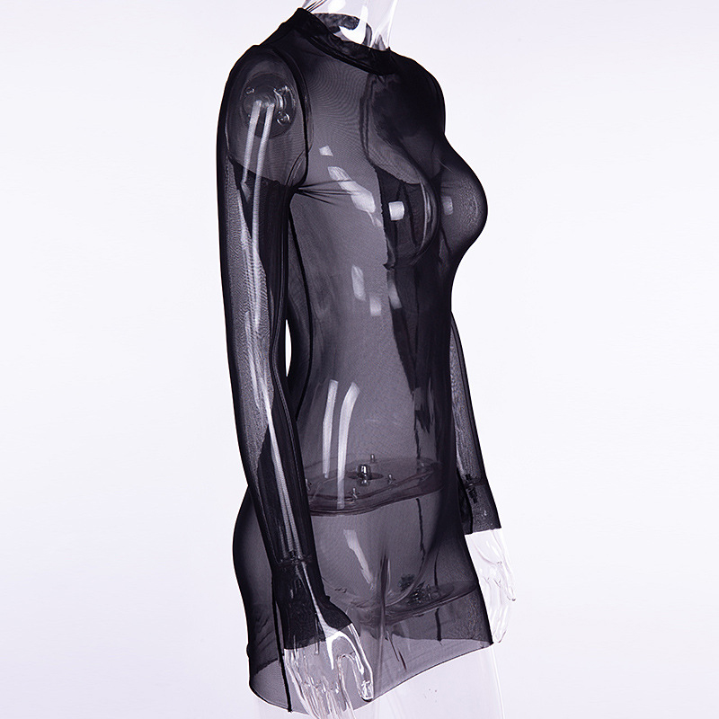 See Through Mesh Long Sleeve Dress