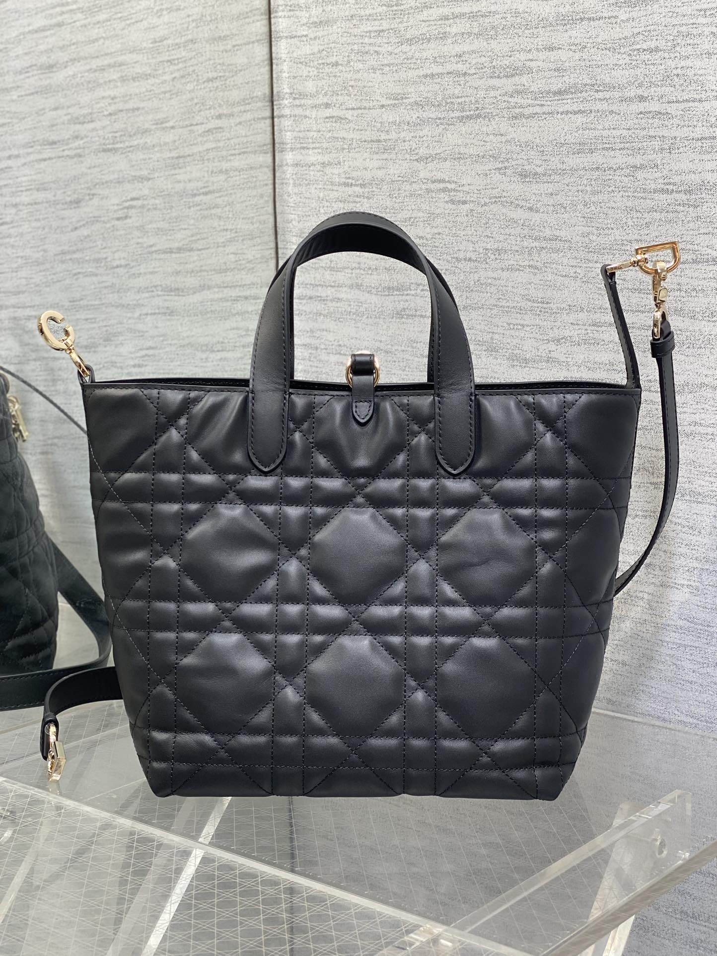 Dior Toujours Vertical Series Medium