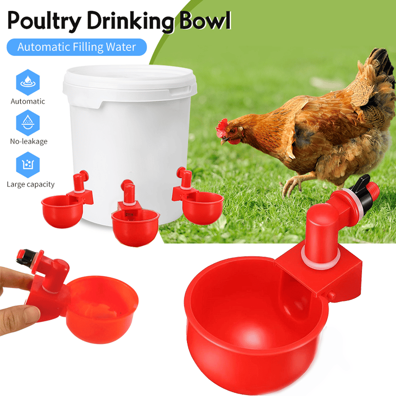 (🔥Last Day Promotion-SAVE 65% OFF)🔥Automatic Chicken Water Cup Waterer Kit -BUY 10 GET 10 FREE & FREE SHIPPING
