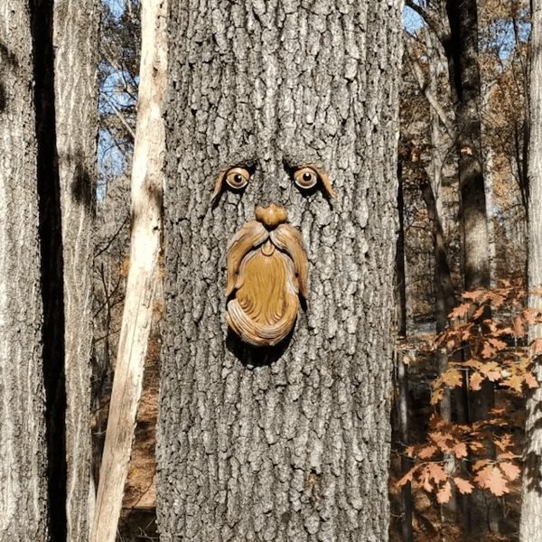 Unique Bird Feeders for Outdoors-Old Man Tree Art